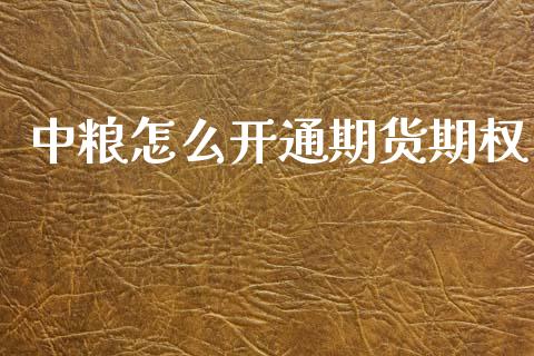 中粮怎么开通期货期权_https://m.jnlaobingbanjia.com_理财规划_第1张