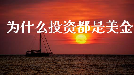 为什么投资都是美金_https://m.jnlaobingbanjia.com_金融监管_第1张