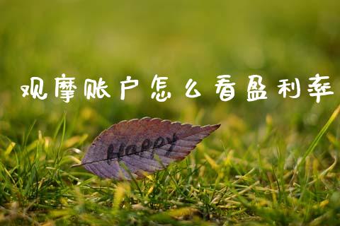 观摩账户怎么看盈利率_https://m.jnlaobingbanjia.com_理财规划_第1张