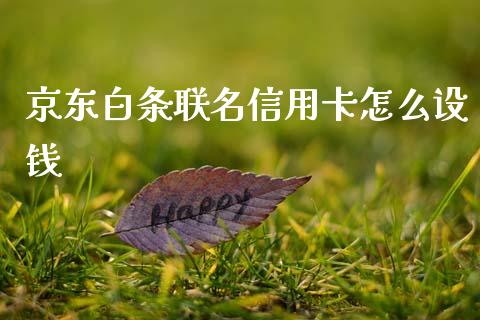 京东白条联名信用卡怎么设钱_https://m.jnlaobingbanjia.com_股市新闻_第1张