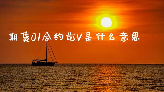 期货01合约前V是什么意思_https://m.jnlaobingbanjia.com_股市新闻_第1张