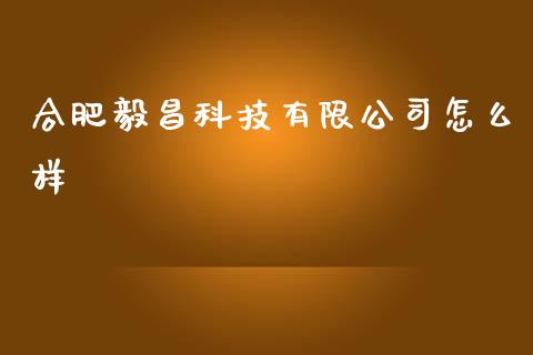 合肥毅昌科技有限公司怎么样_https://m.jnlaobingbanjia.com_金融监管_第1张