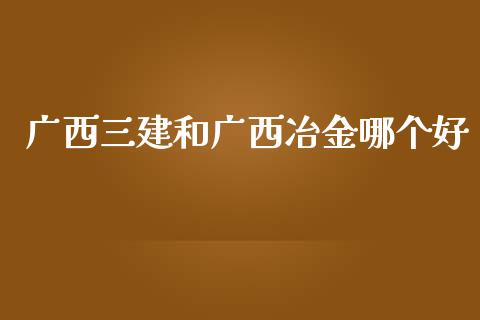 广西三建和广西冶金哪个好_https://m.jnlaobingbanjia.com_金融监管_第1张