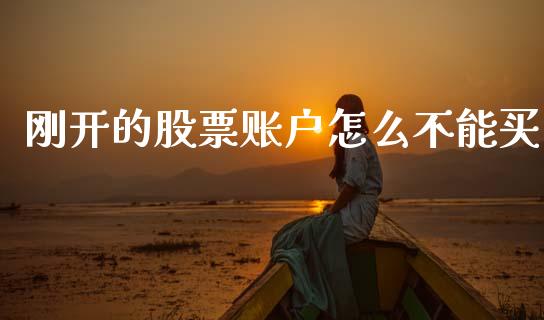刚开的股票账户怎么不能买_https://m.jnlaobingbanjia.com_全球市场_第1张