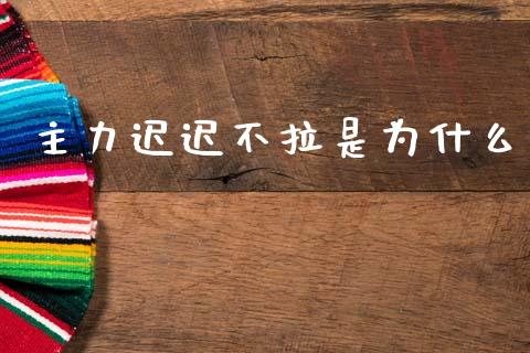 主力迟迟不拉是为什么_https://m.jnlaobingbanjia.com_区块链_第1张