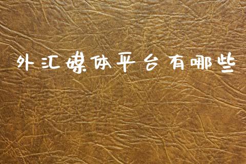 外汇媒体平台有哪些_https://m.jnlaobingbanjia.com_金融监管_第1张