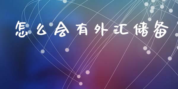 怎么会有外汇储备_https://m.jnlaobingbanjia.com_全球市场_第1张
