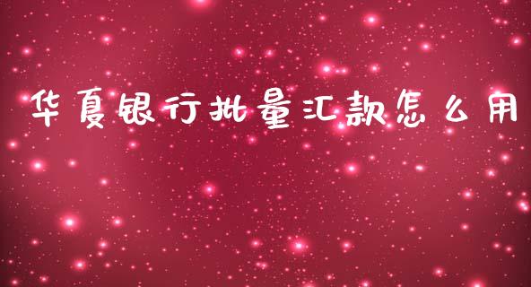华夏银行批量汇款怎么用_https://m.jnlaobingbanjia.com_基金市场_第1张
