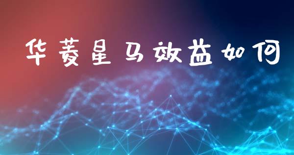 华菱星马效益如何_https://m.jnlaobingbanjia.com_金融监管_第1张