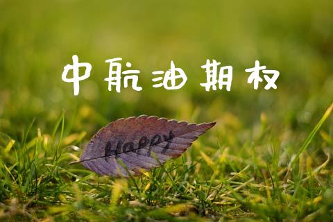 中航油期权_https://m.jnlaobingbanjia.com_理财规划_第1张
