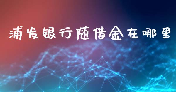 浦发银行随借金在哪里_https://m.jnlaobingbanjia.com_股市新闻_第1张