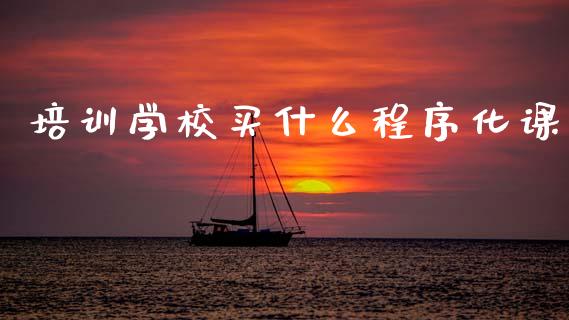培训学校买什么程序化课_https://m.jnlaobingbanjia.com_股市新闻_第1张
