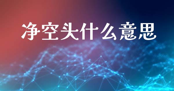 净空头什么意思_https://m.jnlaobingbanjia.com_股市新闻_第1张