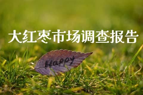 大红枣市场调查报告_https://m.jnlaobingbanjia.com_理财规划_第1张