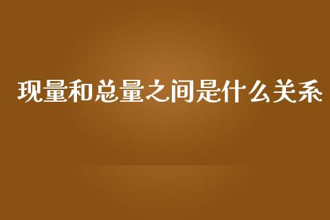 现量和总量之间是什么关系_https://m.jnlaobingbanjia.com_金融监管_第1张