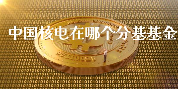 中国核电在哪个分基基金_https://m.jnlaobingbanjia.com_全球市场_第1张