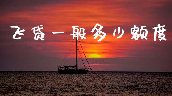 飞贷一般多少额度_https://m.jnlaobingbanjia.com_全球市场_第1张