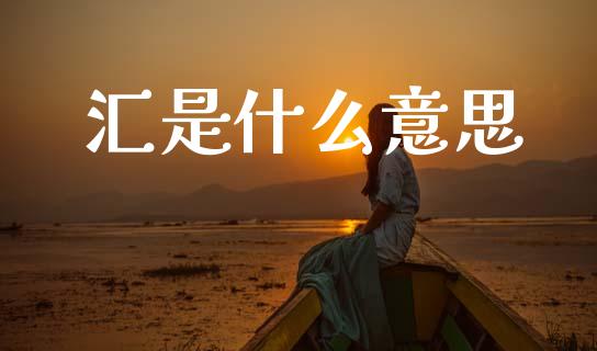 汇是什么意思_https://m.jnlaobingbanjia.com_全球市场_第1张