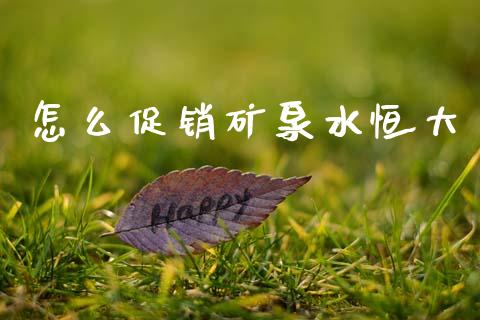 怎么促销矿泉水恒大_https://m.jnlaobingbanjia.com_基金市场_第1张