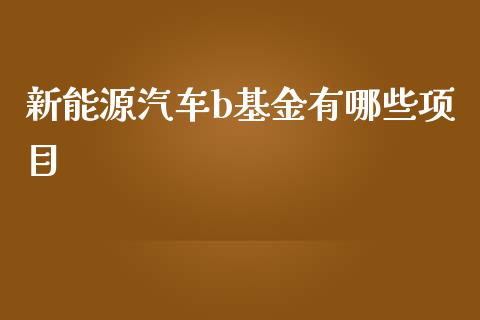 新能源汽车b基金有哪些项目_https://m.jnlaobingbanjia.com_金融监管_第1张