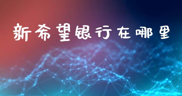 新希望银行在哪里_https://m.jnlaobingbanjia.com_金融监管_第1张