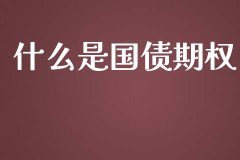 什么是国债期权_https://m.jnlaobingbanjia.com_金融监管_第1张