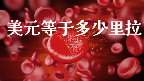 美元等于多少里拉_https://m.jnlaobingbanjia.com_股市新闻_第1张