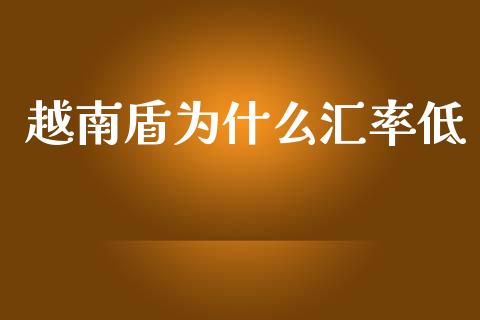 越南盾为什么汇率低_https://m.jnlaobingbanjia.com_全球市场_第1张