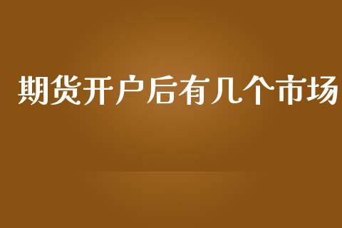 期货开户后有几个市场_https://m.jnlaobingbanjia.com_金融监管_第1张