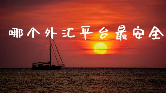 哪个外汇平台最安全_https://m.jnlaobingbanjia.com_理财规划_第1张