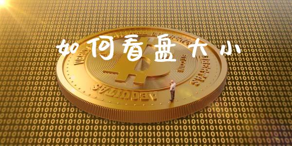 如何看盘大小_https://m.jnlaobingbanjia.com_金融监管_第1张