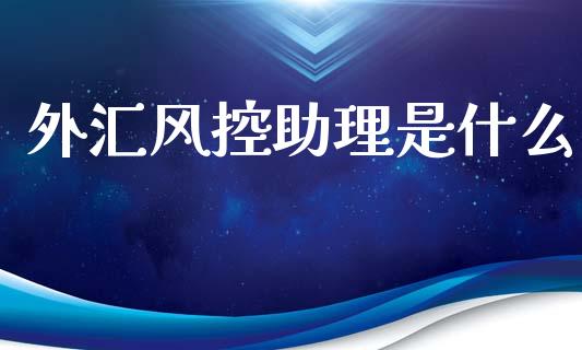 外汇风控助理是什么_https://m.jnlaobingbanjia.com_基金市场_第1张