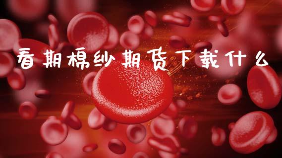 看期棉纱期货下载什么_https://m.jnlaobingbanjia.com_基金市场_第1张