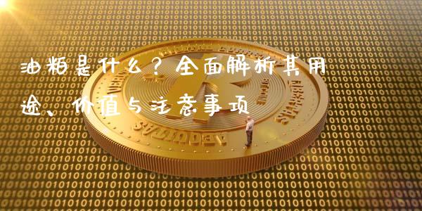 油粕是什么？全面解析其用途、价值与注意事项_https://m.jnlaobingbanjia.com_理财规划_第1张