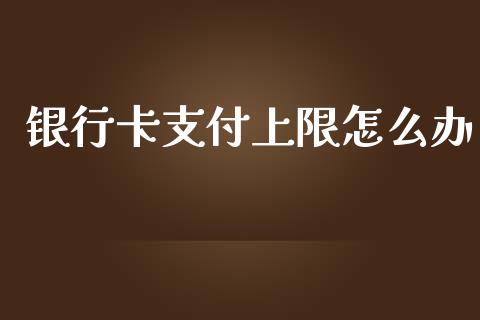 银行卡支付上限怎么办_https://m.jnlaobingbanjia.com_基金市场_第1张