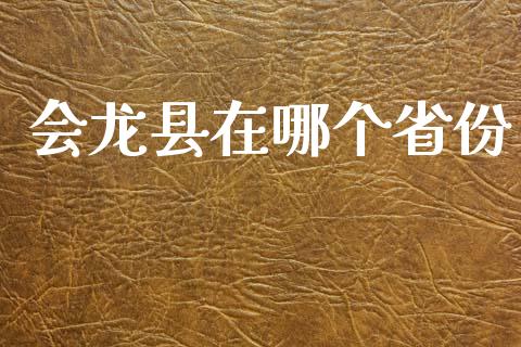 会龙县在哪个省份_https://m.jnlaobingbanjia.com_全球市场_第1张