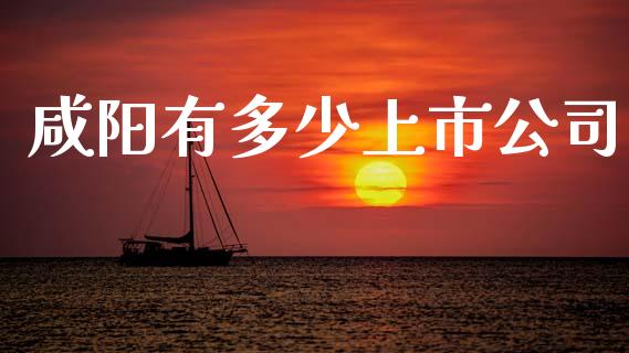 咸阳有多少上市公司_https://m.jnlaobingbanjia.com_基金市场_第1张