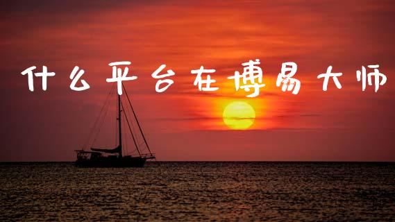 什么平台在博易大师_https://m.jnlaobingbanjia.com_理财规划_第1张