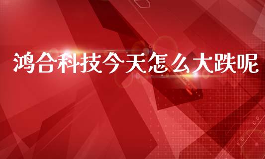 鸿合科技今天怎么大跌呢_https://m.jnlaobingbanjia.com_股市新闻_第1张