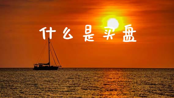什么是买盘_https://m.jnlaobingbanjia.com_基金市场_第1张