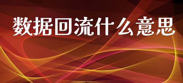 数据回流什么意思_https://m.jnlaobingbanjia.com_金融监管_第1张