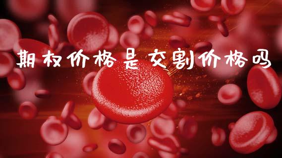 期权价格是交割价格吗_https://m.jnlaobingbanjia.com_金融监管_第1张