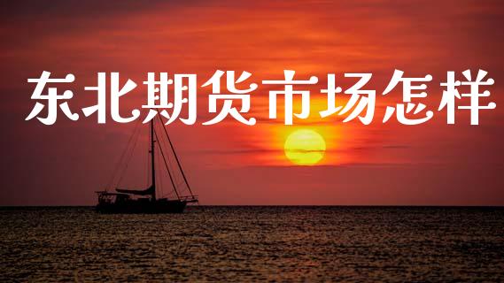 东北期货市场怎样_https://m.jnlaobingbanjia.com_金融监管_第1张