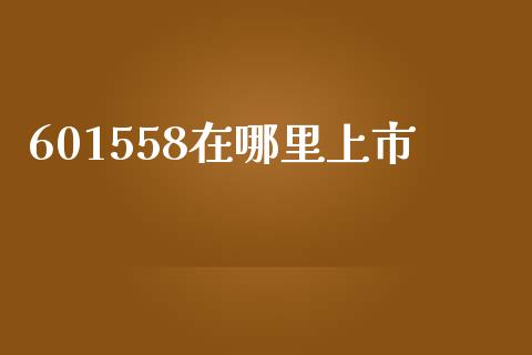 601558在哪里上市_https://m.jnlaobingbanjia.com_全球市场_第1张