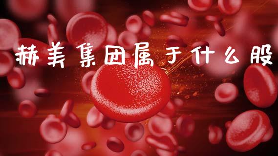 赫美集团属于什么股_https://m.jnlaobingbanjia.com_理财规划_第1张