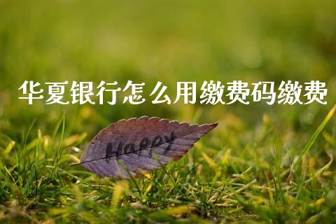华夏银行怎么用缴费码缴费_https://m.jnlaobingbanjia.com_基金市场_第1张