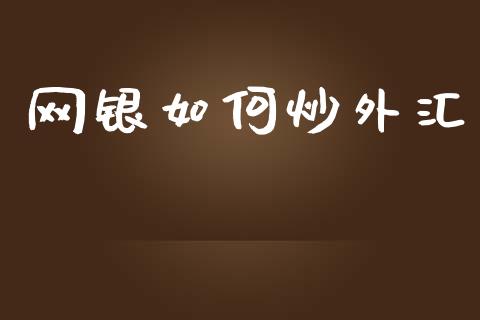 网银如何炒外汇_https://m.jnlaobingbanjia.com_股市新闻_第1张