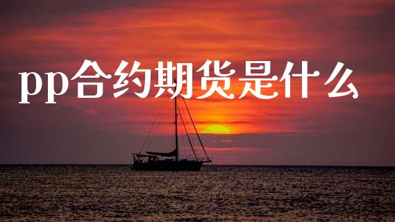 pp合约期货是什么_https://m.jnlaobingbanjia.com_股市新闻_第1张