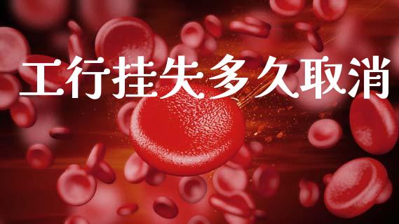 工行挂失多久取消_https://m.jnlaobingbanjia.com_全球市场_第1张