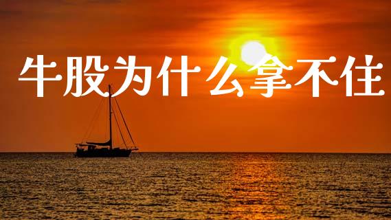 牛股为什么拿不住_https://m.jnlaobingbanjia.com_理财规划_第1张